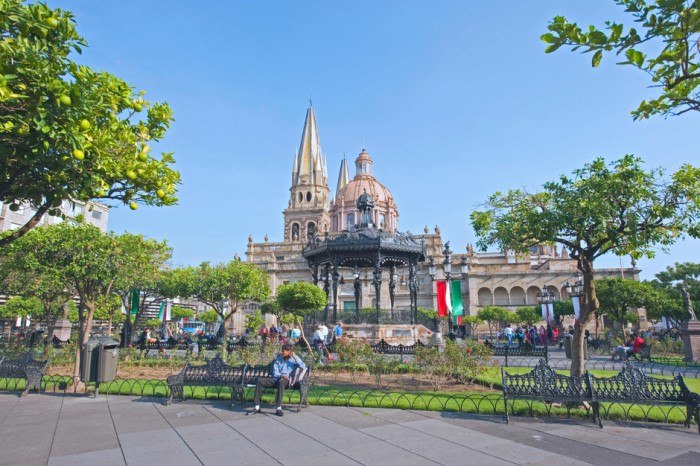 Cuadros de resina guadalajara Text